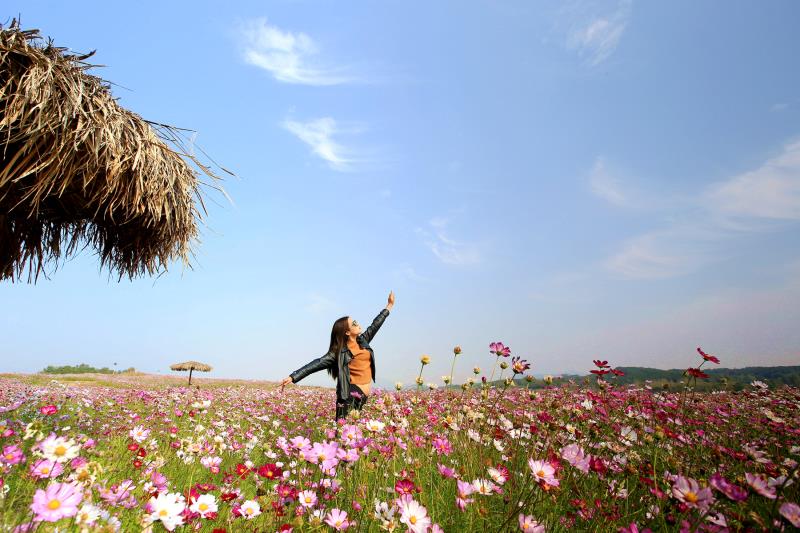 女孩子天生对美丽的花儿难以自控