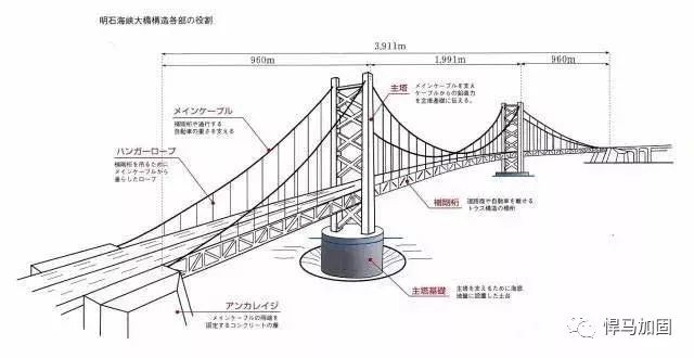 金门大桥结构图图片