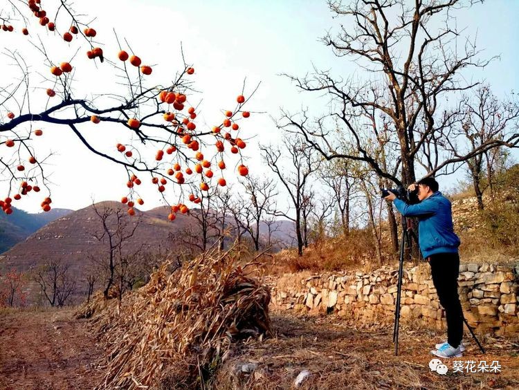 這個秋天快來到遵化最佳外拍基地,京東水果第一鎮,感受一下醉美黨峪吧