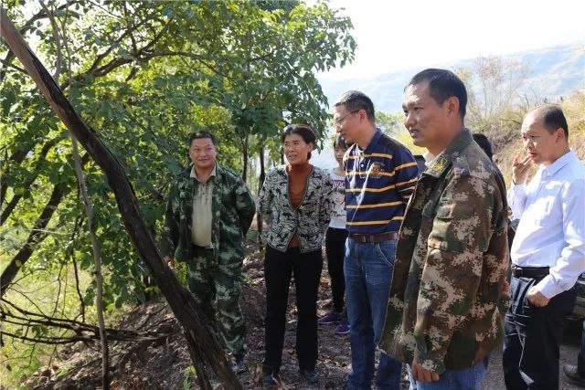 县长鲁春红调研富良棚乡可开发利用土地