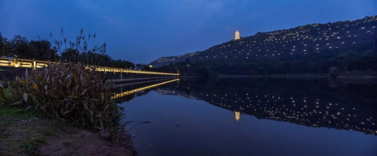 照母山夜景图片