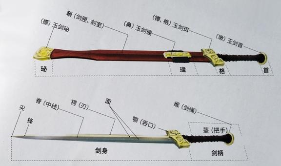 剑的结构图与名称图片