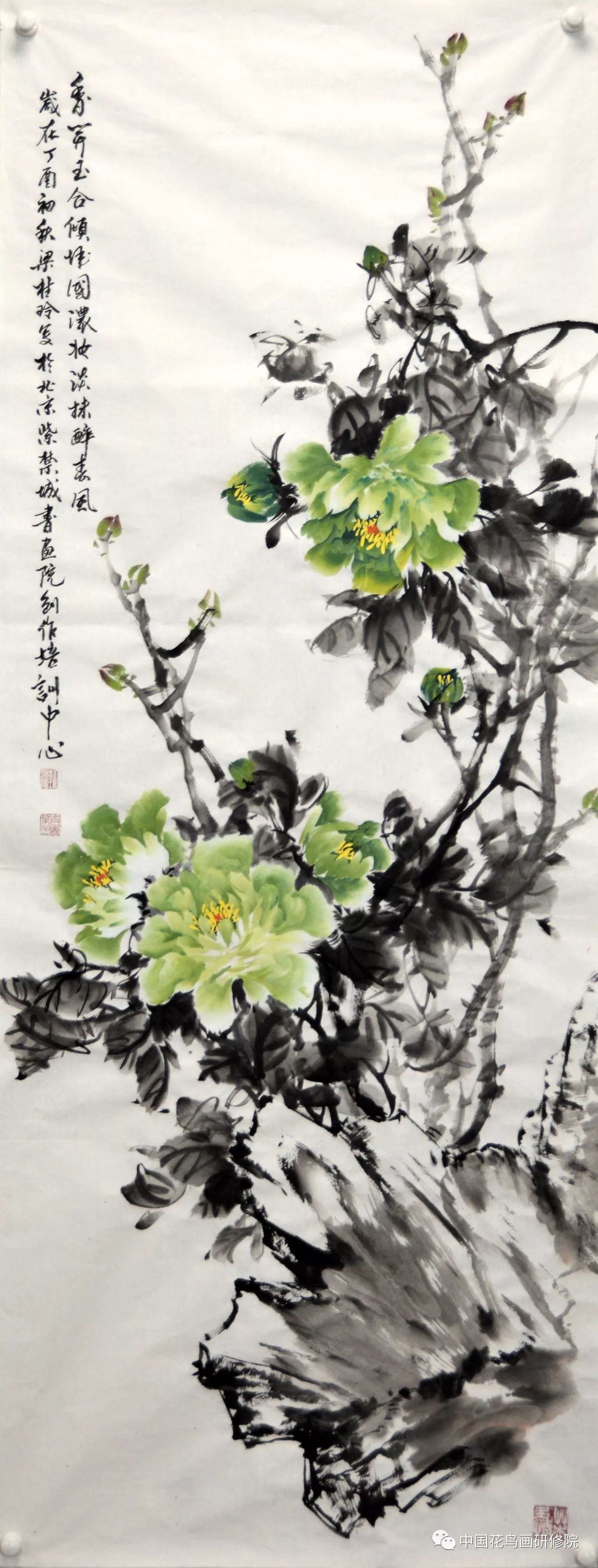 燕鸣春晖中国花鸟画研修院花鸟画专业提高班第四周梁老师画牡丹