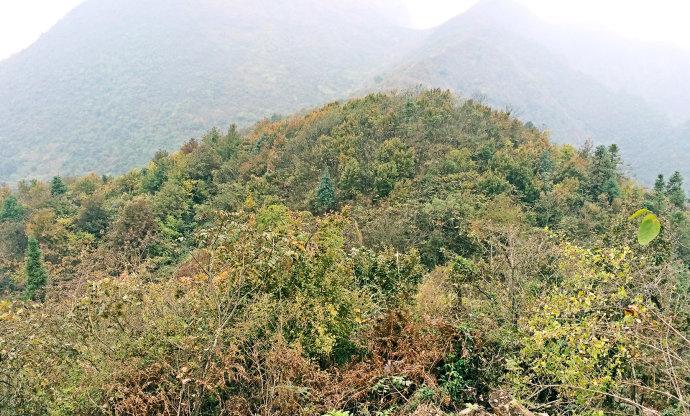 阳新父子山登山步道图片