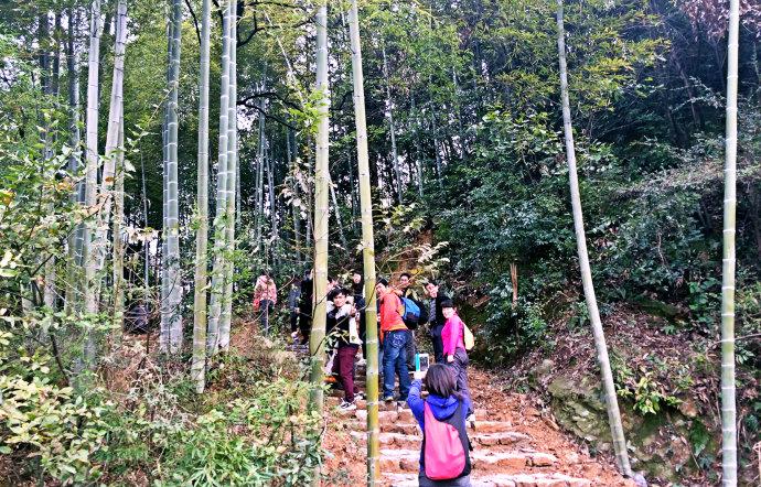 阳新父子山登山步道图片