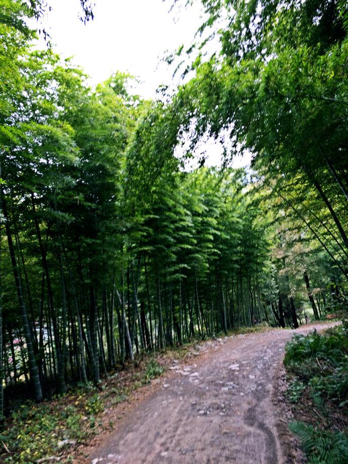 阳新父子山登山步道图片