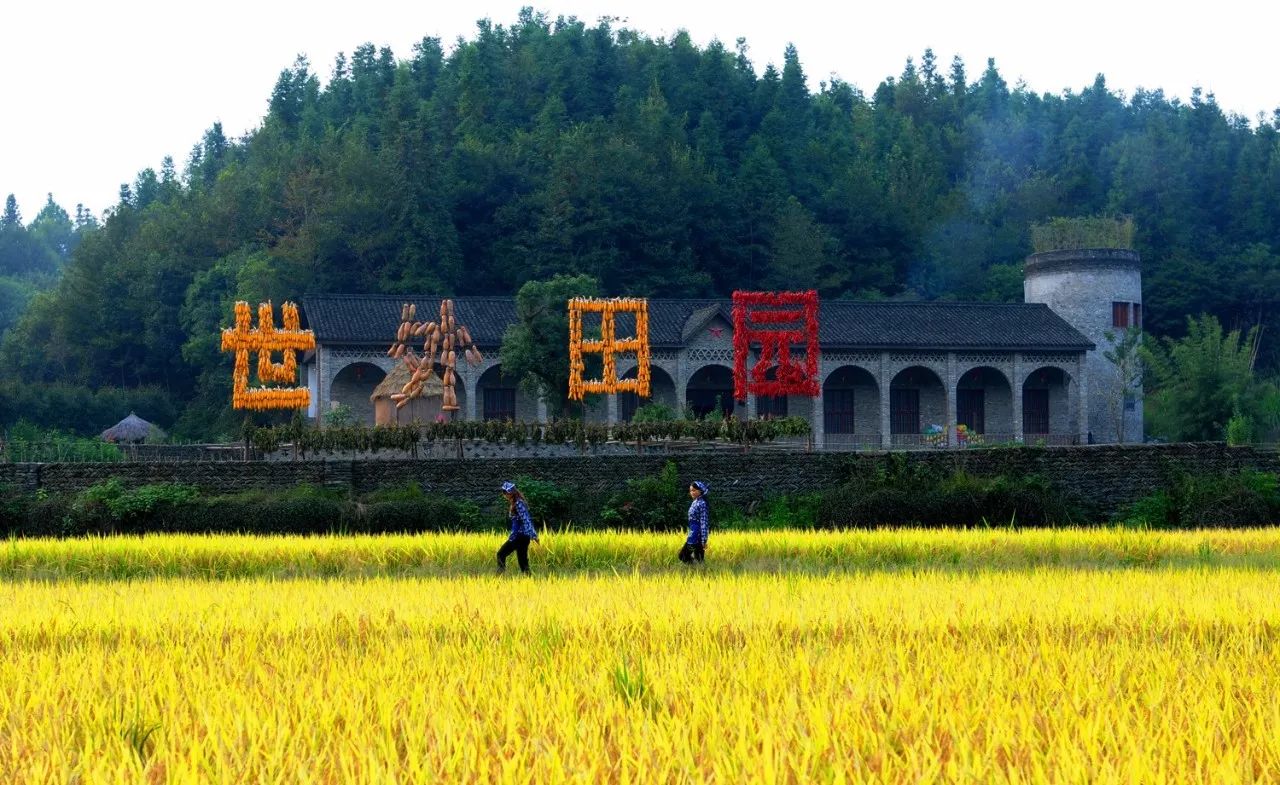 左安鎮井岡山市茅坪鄉茅坪村吉安縣橫江鎮公塘村吉州區釣源古村青原