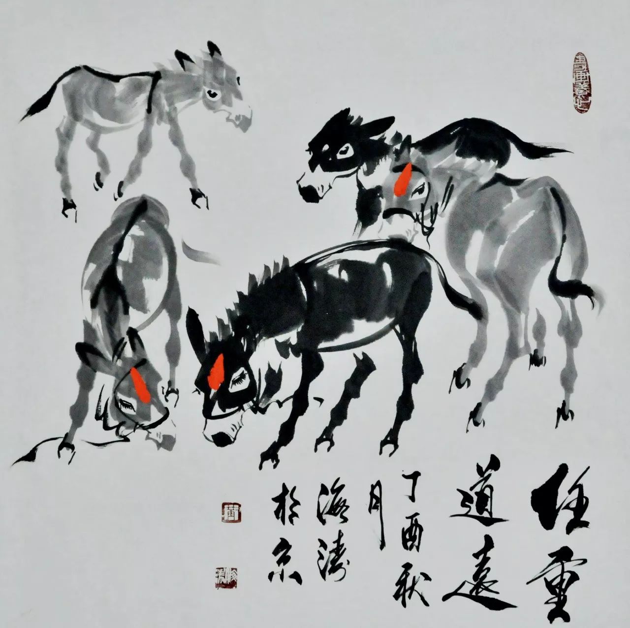 作 品 欣 赏近年来其作品多次参加画展并获奖.