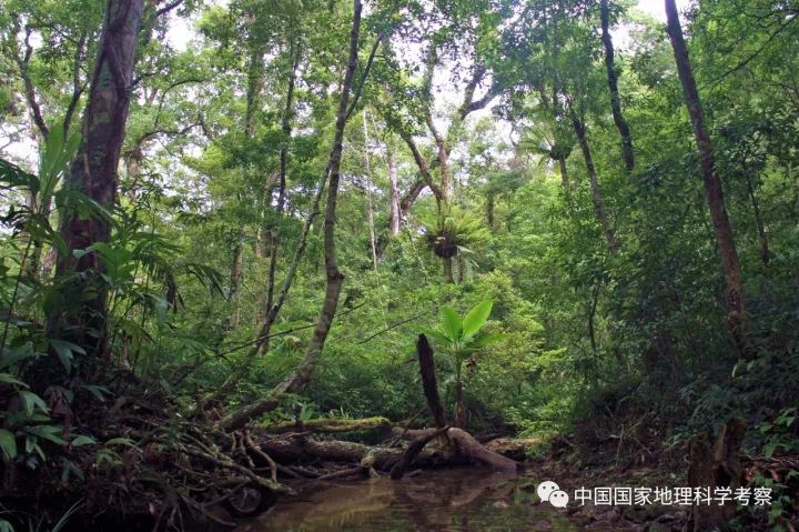 探奇中國最原始的熱帶雨林 | 少年科考營招募