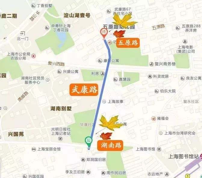 衡复聚焦 徐汇落叶景观道路回归在即 风貌区7条小马路等你前来踏寻