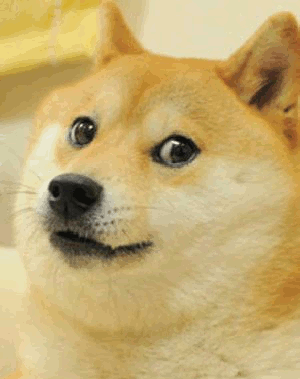 微信狗表情包柴犬图片