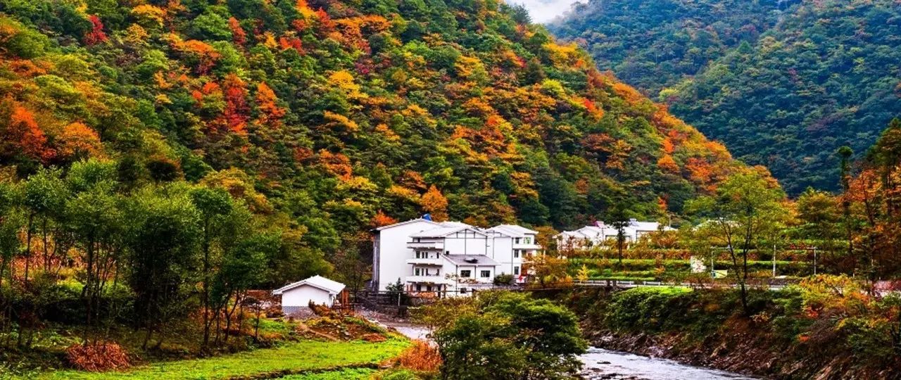 美景丨最東邊秘景最壯闊雲海重慶這兩個地方藏著最驚豔的秋天