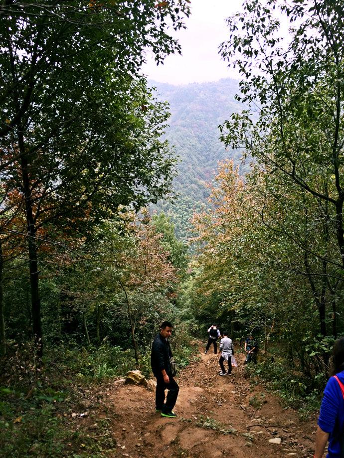 阳新父子山登山步道图片