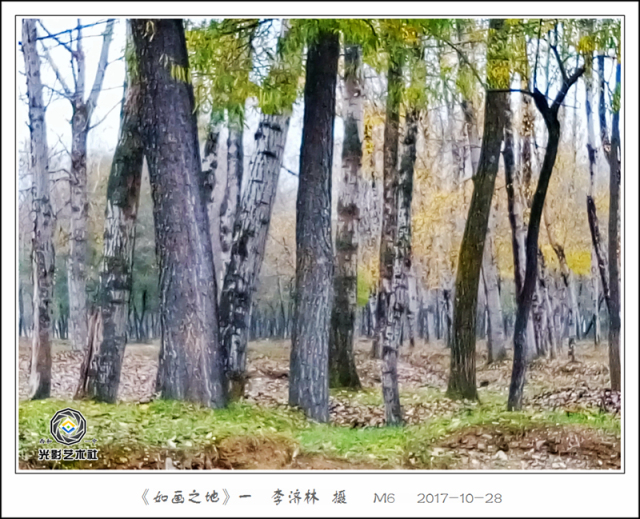 【攝影】天青色等煙雨,而我在黃江等著你