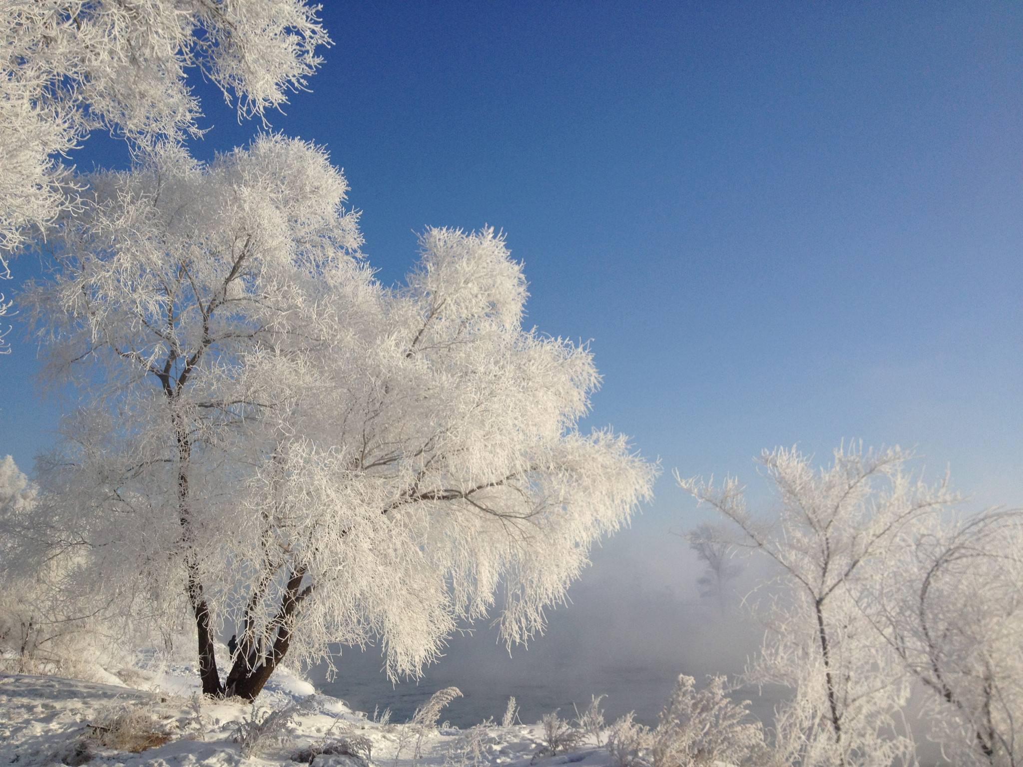 东北吉林冬天照片图片