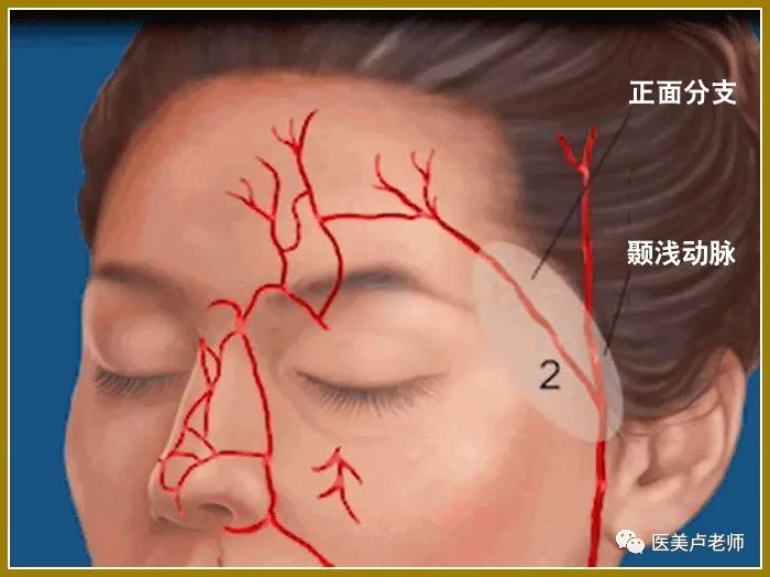 指压颞浅动脉图片