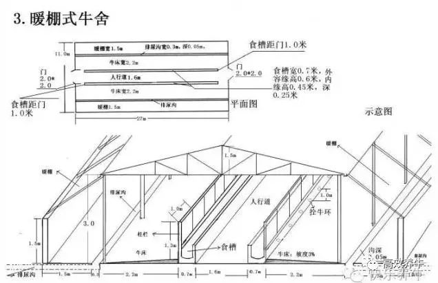 牛舍牛棚内部设计图牛舍内部按照分类可分为:一,单排式牛舍(养牛场