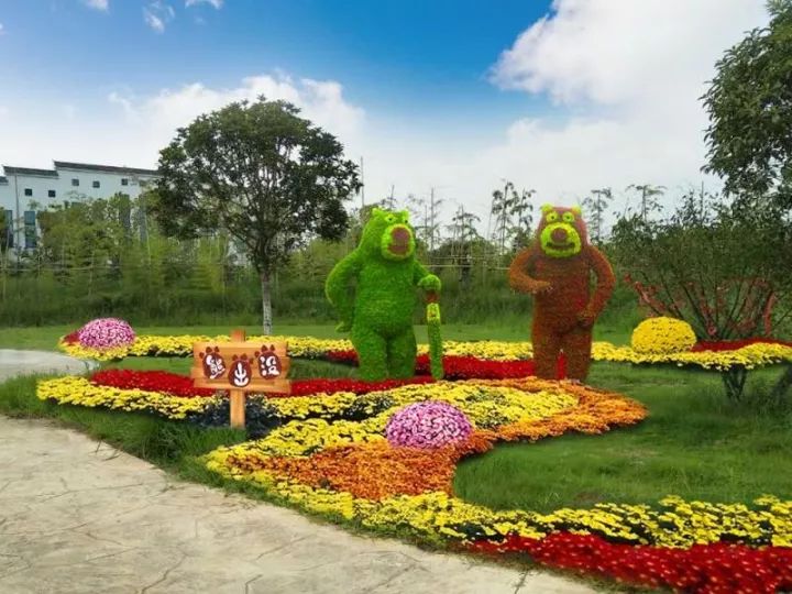 還有近五千盆菊花,花費近五萬而成大氣磅礴圓形花壇