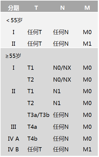 表1:ajcc分期第8版