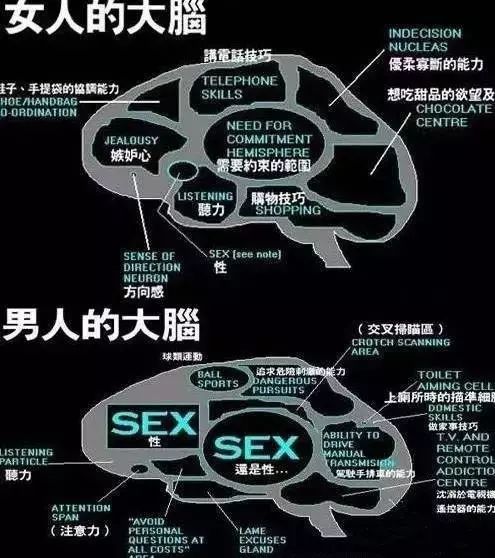 涨知识丨女性更易得精神疾病 盘点男女大脑差异