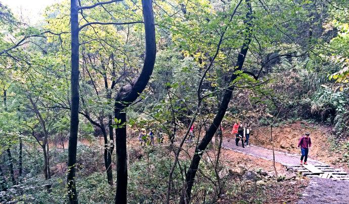 阳新父子山登山步道图片