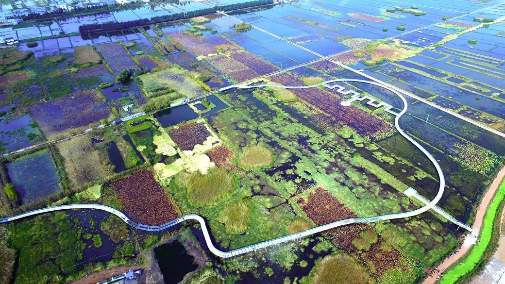 会泽公园占地面积209亩,蔓海公园占地面积332公顷,约4980亩;将