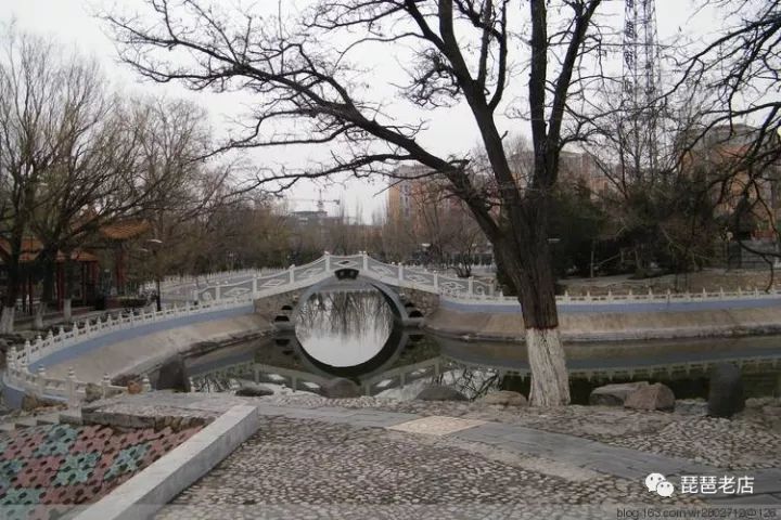 大同口泉公園的傳奇經歷