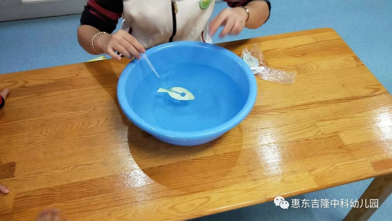 中科幼兒園中班科學小實驗紙魚水中游