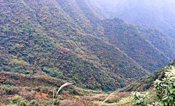 阳新父子山登山步道图片