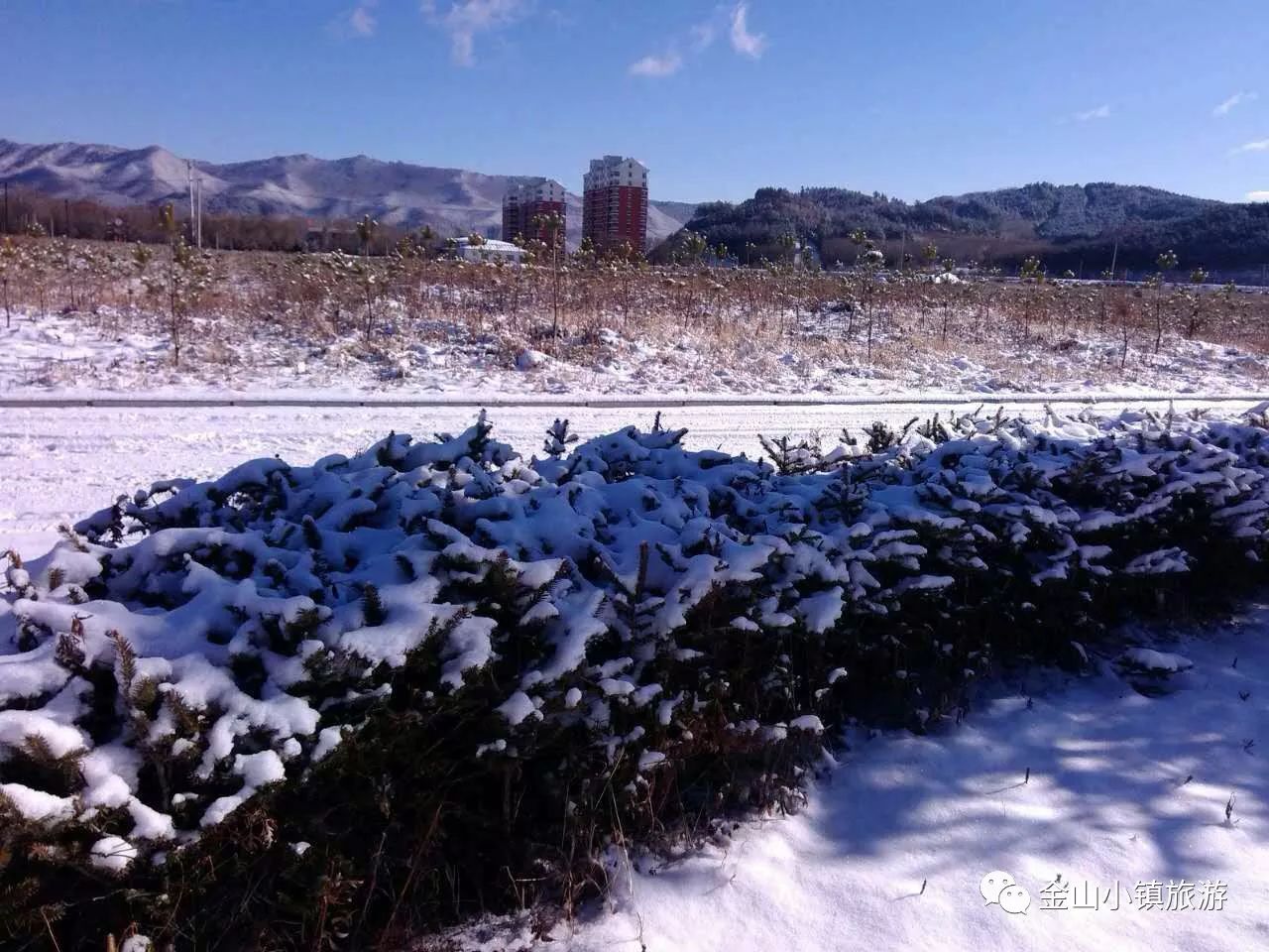 67伊春金山屯▏立冬金山小镇邂逅一场浪漫的初雪