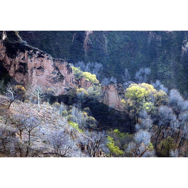 镇原县平泉镇马洼村,位于深山的老百姓,逐步走出大山,在深山里依然