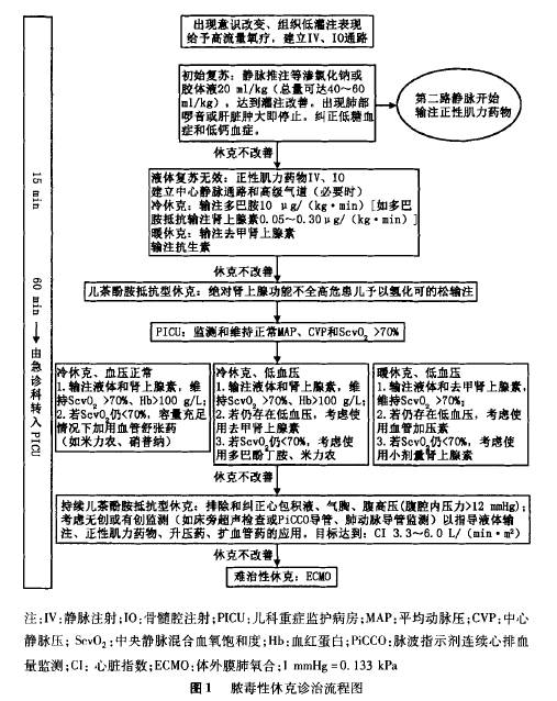 儿童脓毒性休克(感染性休克)诊治专家共识(2015版(二)