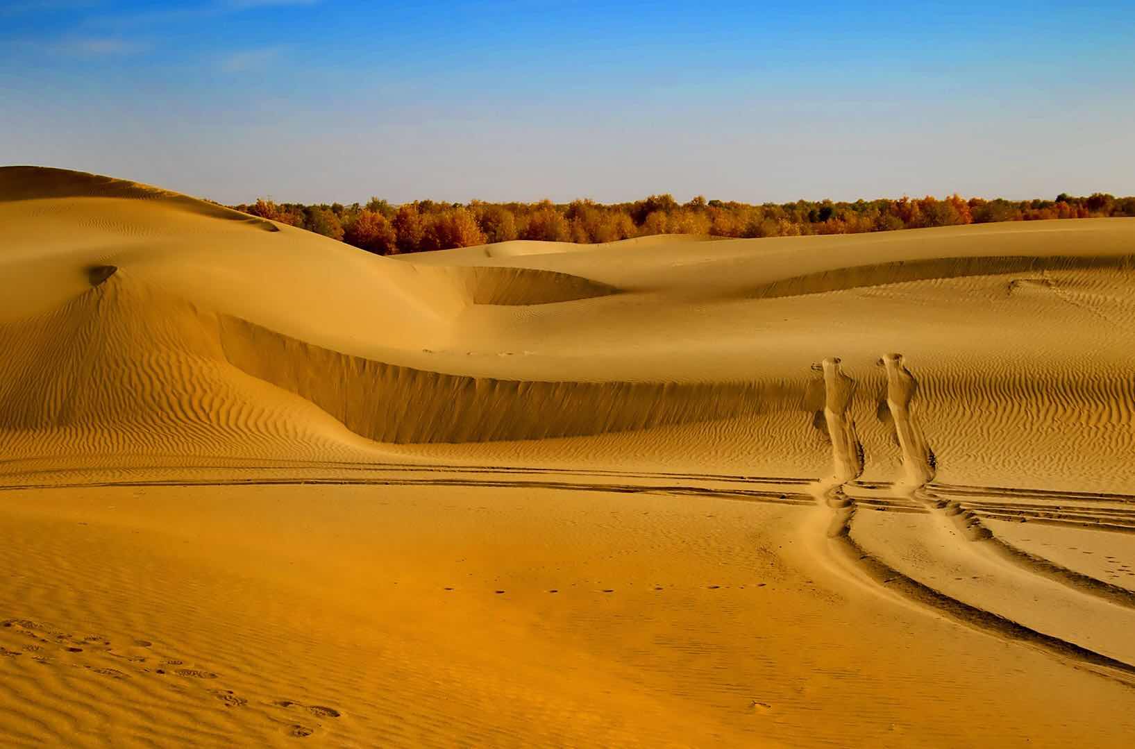 塔克拉玛干沙漠 - 绝美图库 - 华声论坛