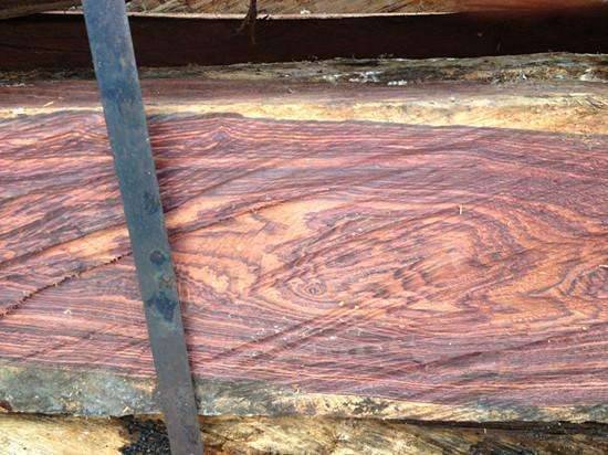 赛州黄檀木材宏观特征:心边材区别明显,边材色浅,心材新切面红褐色至