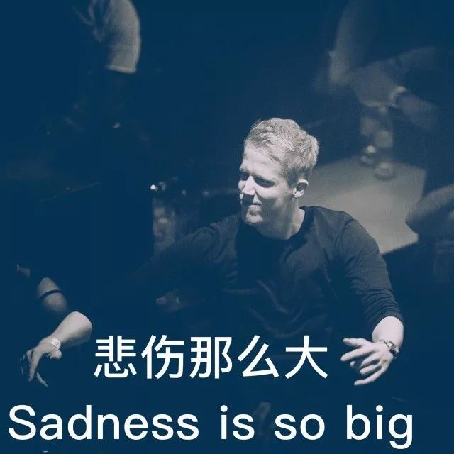 avicii表情包图片