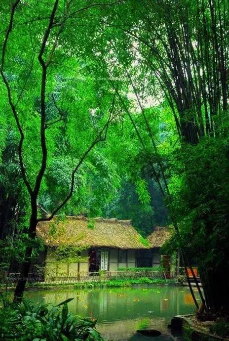 ▼輕音樂《竹林聽雨》▼朗誦《竹林聽雨》▼舞蹈《竹林聽雨》◇清晨