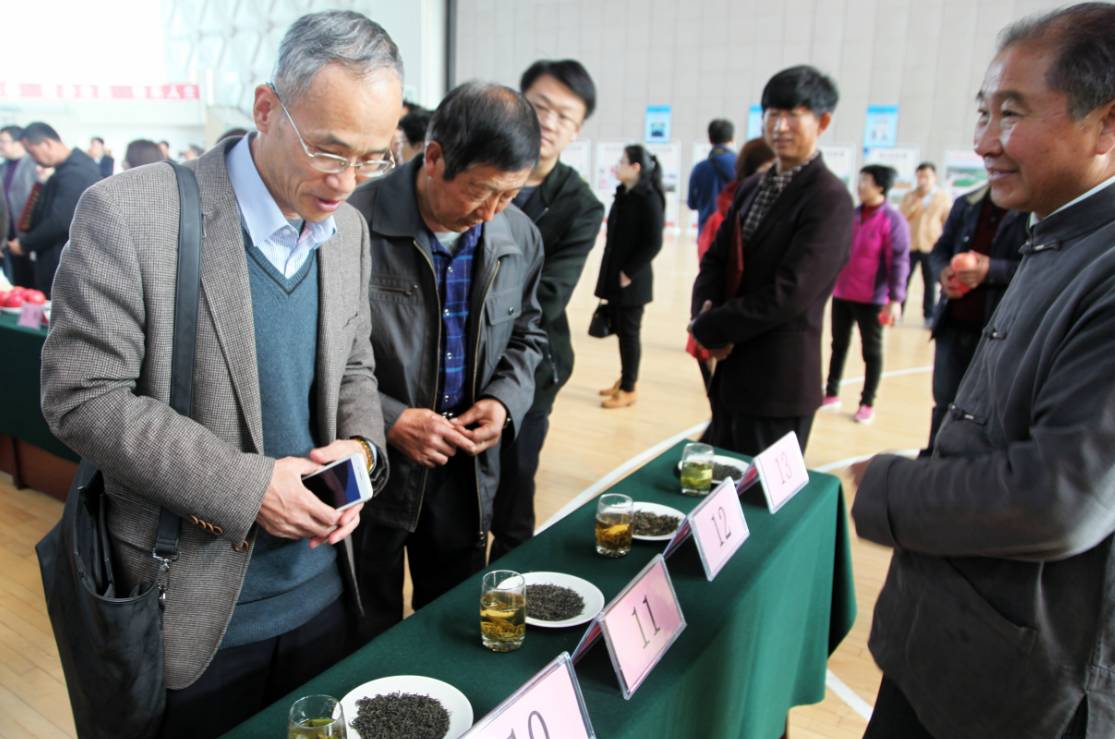 山东省果树研究所研究员,国家苹果产业技术体系岗位专家王金政建议在