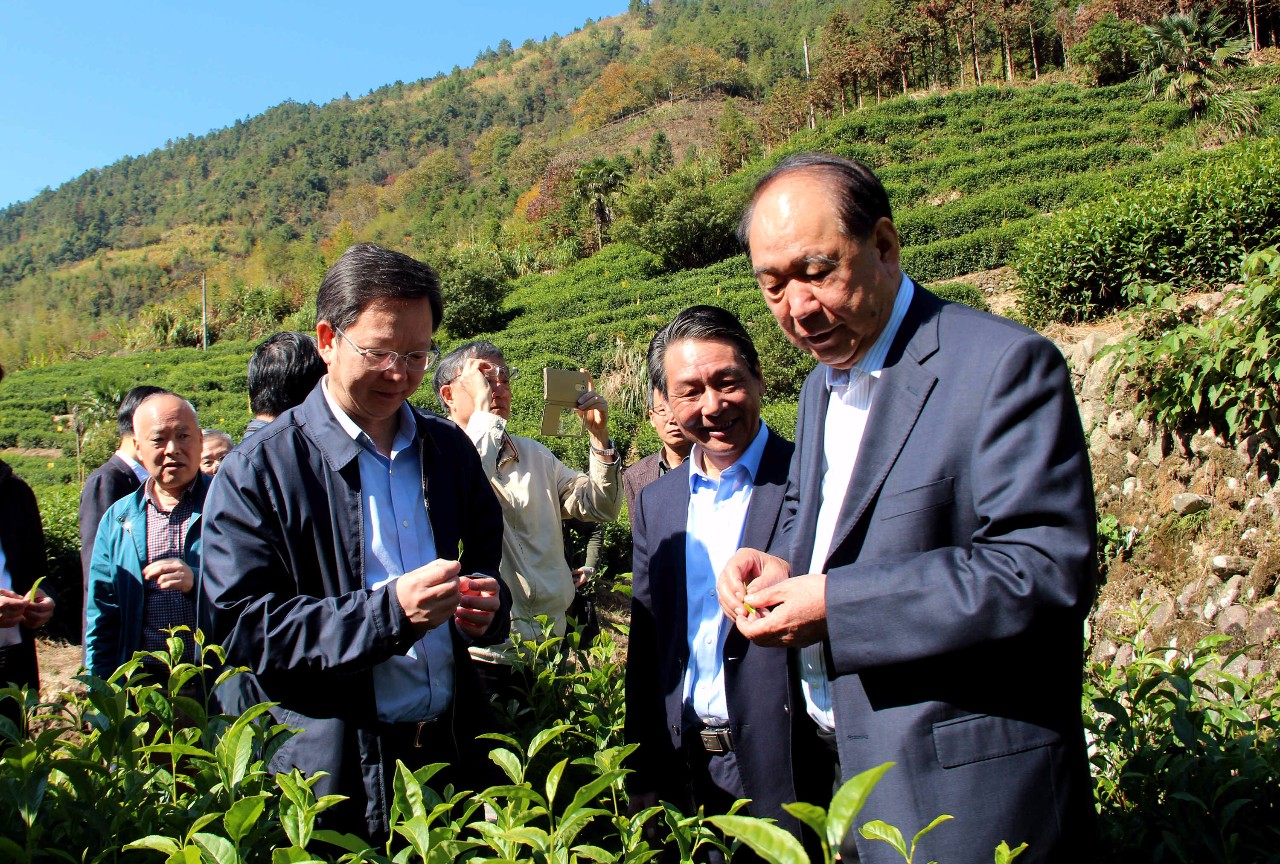 衢州徐文光周国富图片