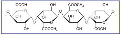 果胶(pectin)是一组聚半乳糖醛酸.