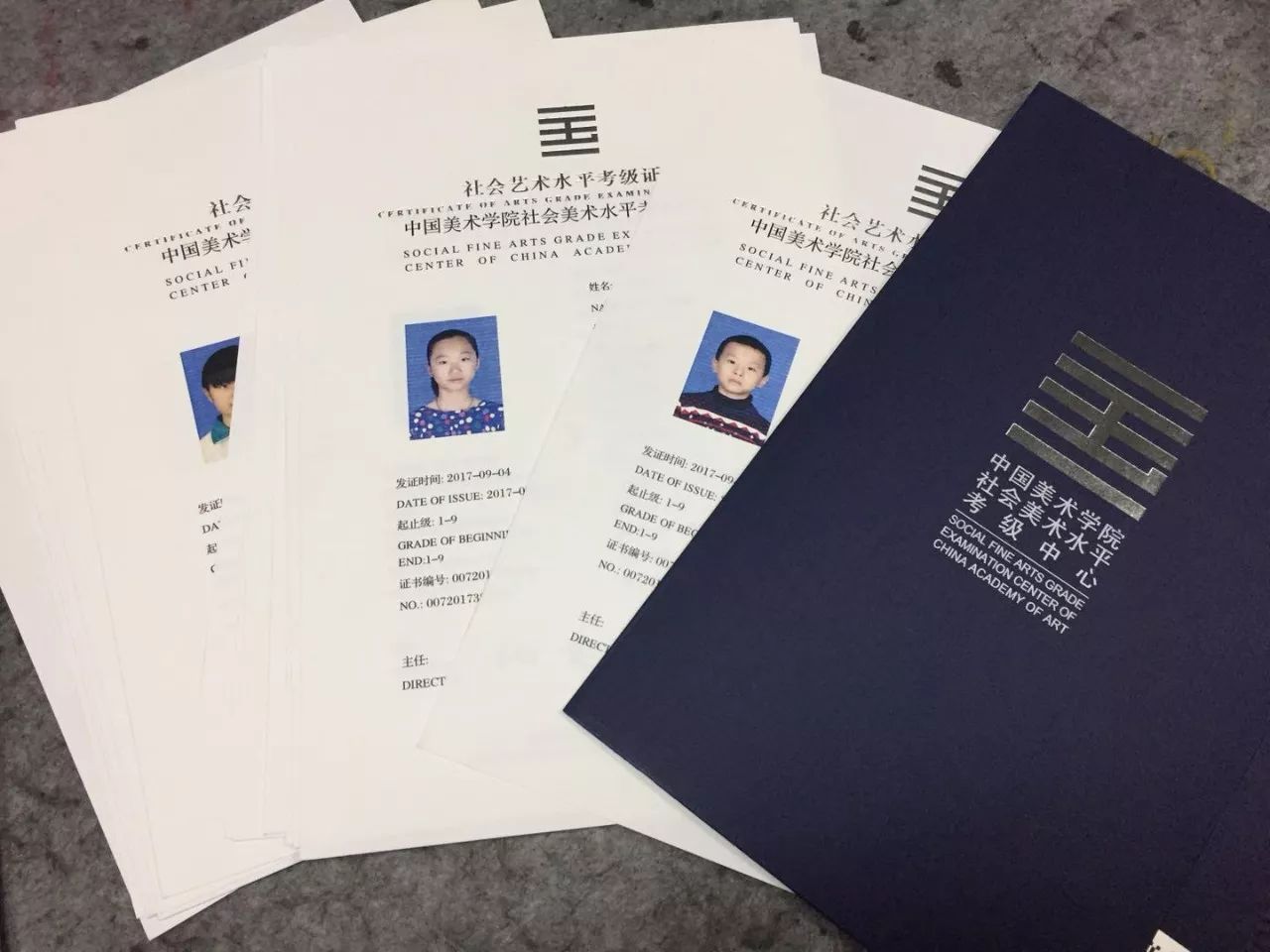 中国书画等级考试证书图片