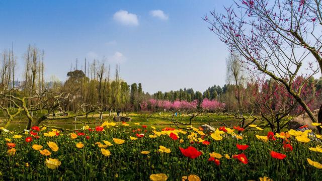 三聖花鄉4a風景區,白鷺灣溼地公園,lohas綠道,秀麗東方,藍頂藝術等