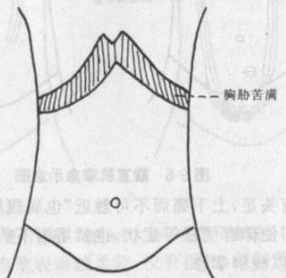 两肋图片位置图片