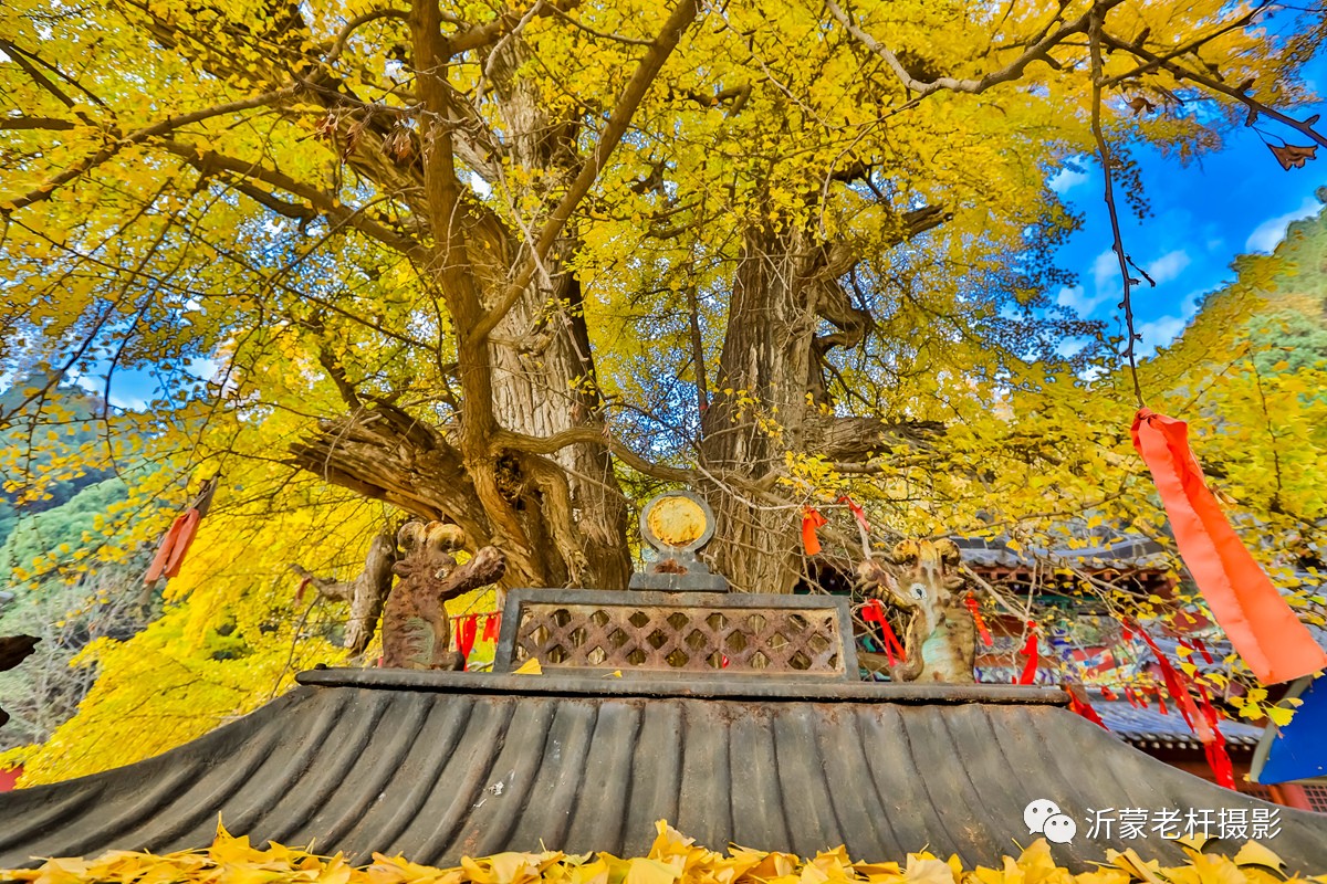 沂水灵泉寺景区图片