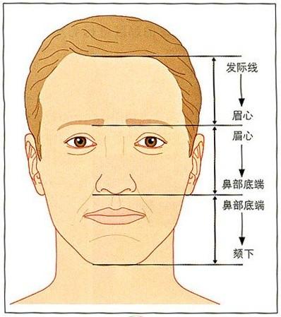 发际线面相图解图片