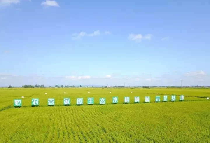 优质粮食工程典型经验交流_粮食产业发展典型经验材料_粮食工作交流材料