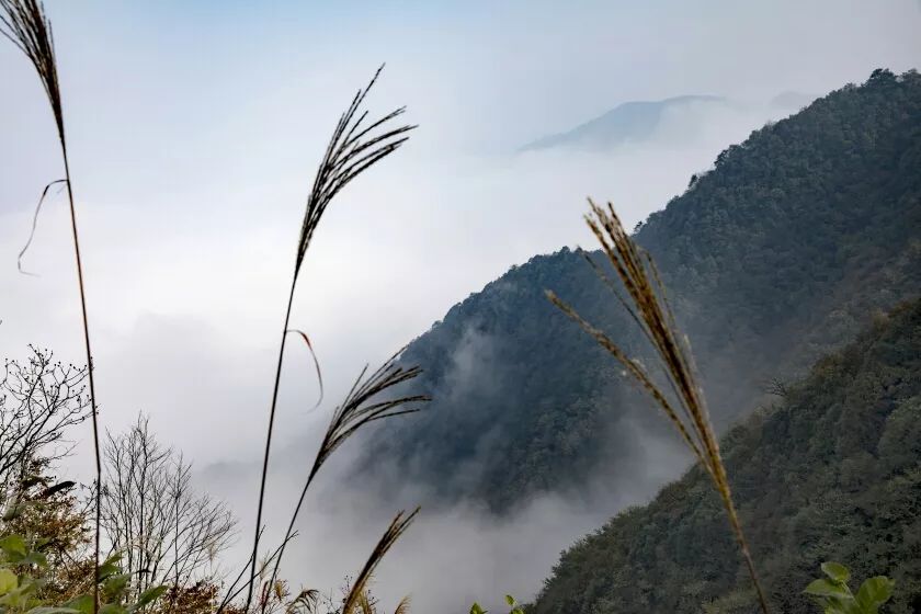 本以为此景在哪个遥远的地方,没想到正是我们大怀化的最高山脉"凉山"