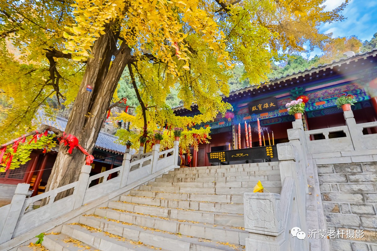 沂水有个龙家圈 圈里有座灵泉山 山上有座灵泉寺 寺里有着如此壮观的