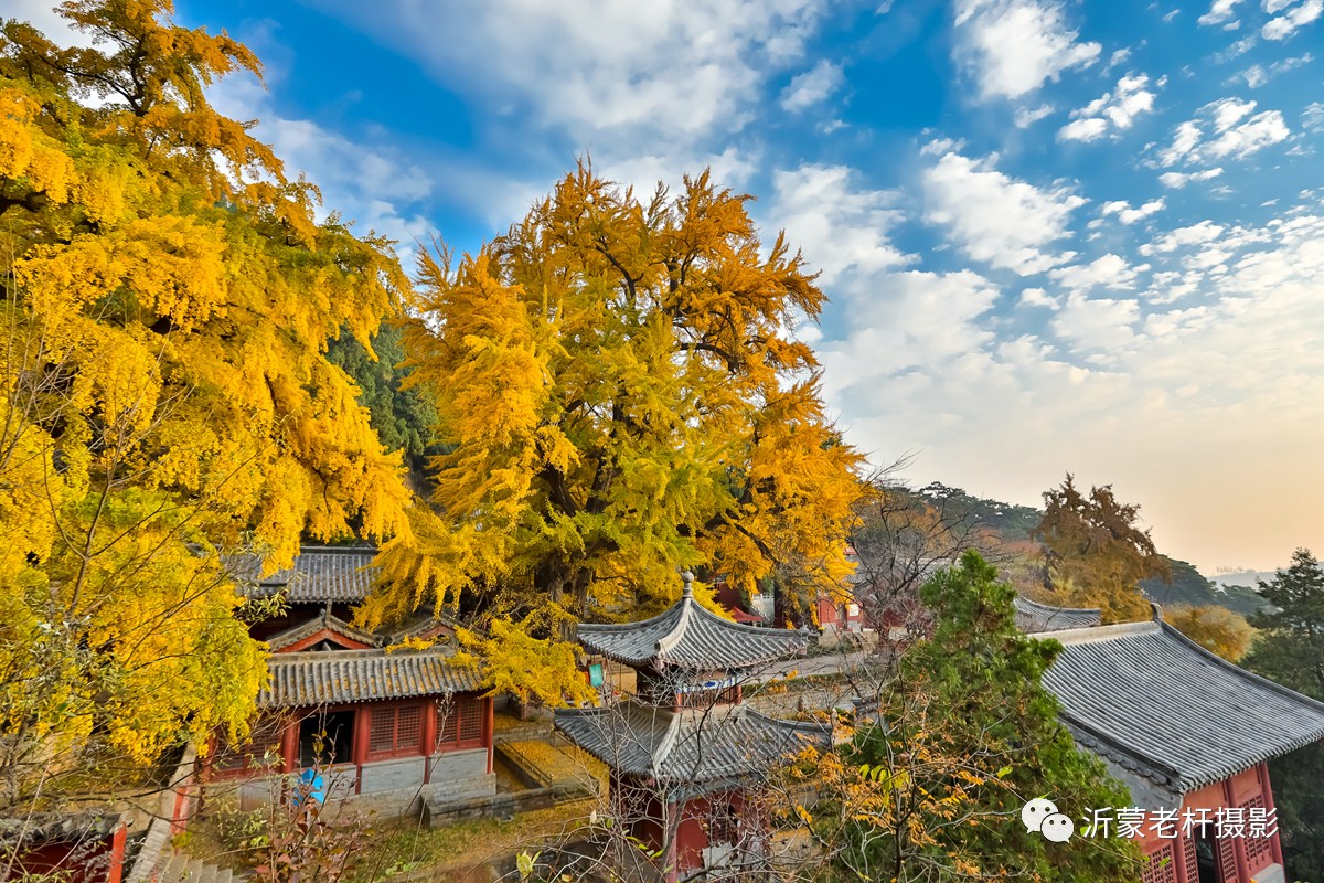 沂水有个龙家圈 圈里有座灵泉山 山上有座灵泉寺 寺里有着如此壮观的