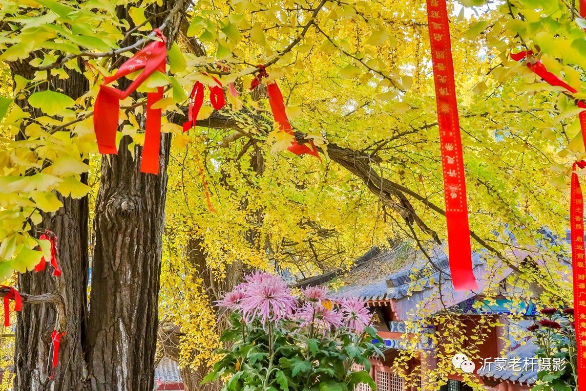 沂水灵泉寺景区图片