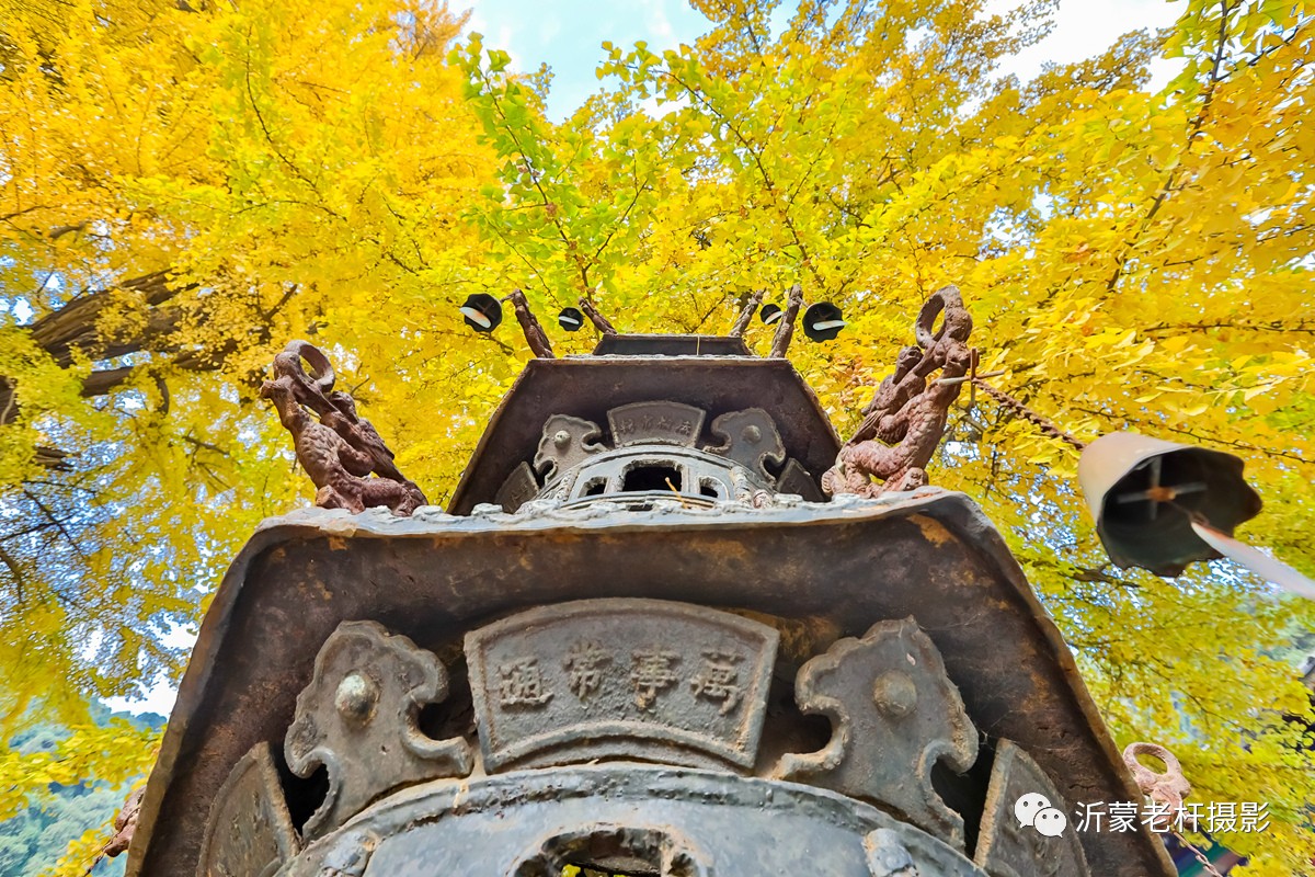 沂水有个龙家圈 圈里有座灵泉山 山上有座灵泉寺 寺里有着如此壮观的